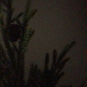 Meet your Posher, Berta